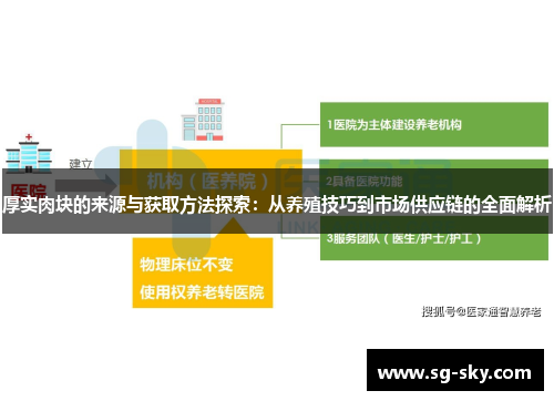 厚实肉块的来源与获取方法探索：从养殖技巧到市场供应链的全面解析