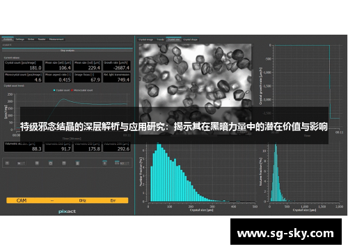 特级邪念结晶的深层解析与应用研究：揭示其在黑暗力量中的潜在价值与影响